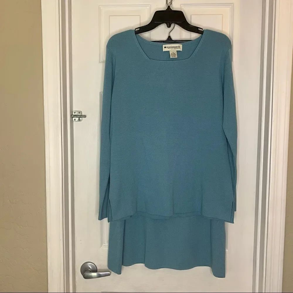 Appleseeds Skirt and Top Set Blue Size Large